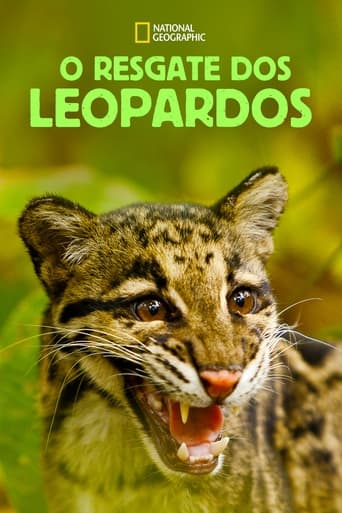 O Resgate dos Leopardos