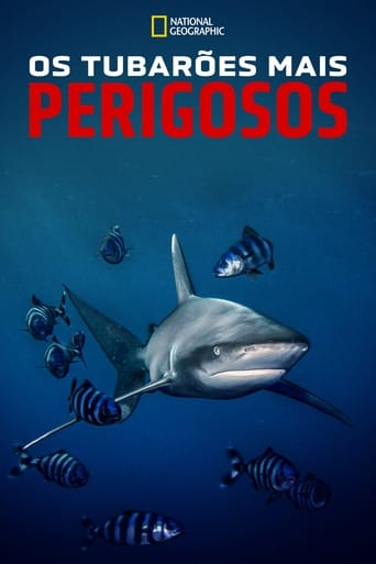 Os Tubarões Mais Perigosos